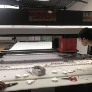 traveling head die cutting press